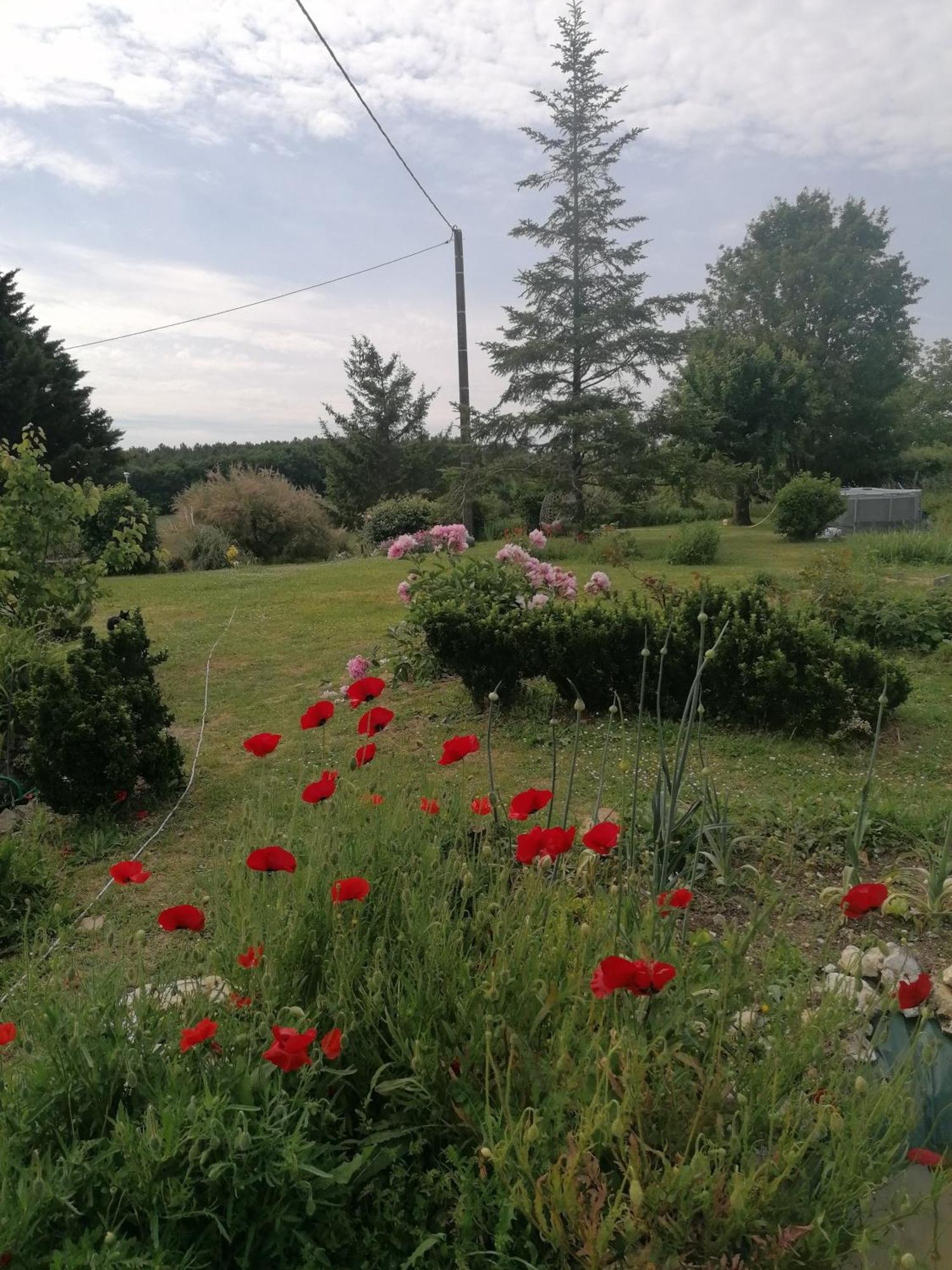 Вилла Charmante Maison, Calme Et Nature A La Roche Posay Экстерьер фото