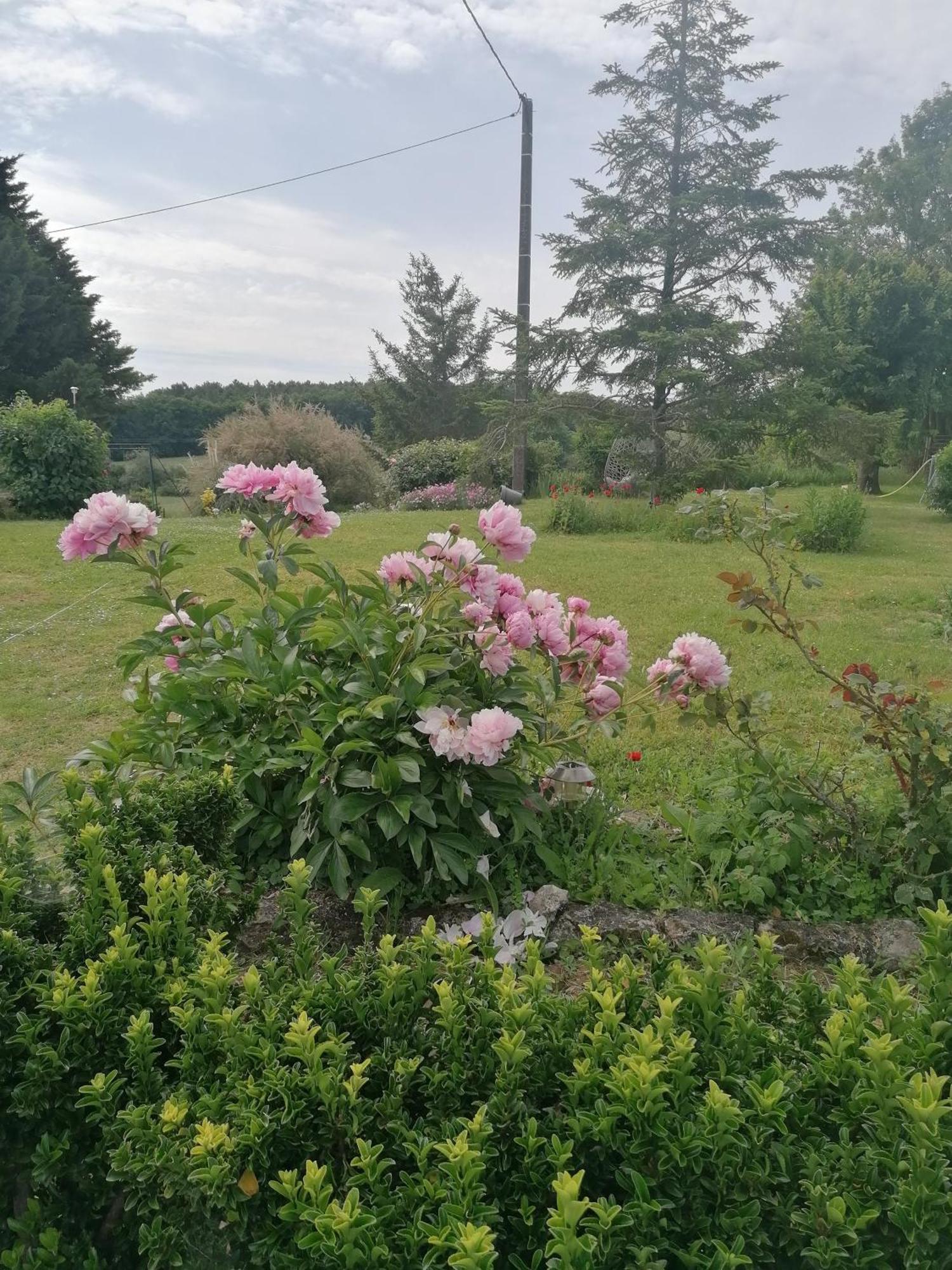 Вилла Charmante Maison, Calme Et Nature A La Roche Posay Экстерьер фото