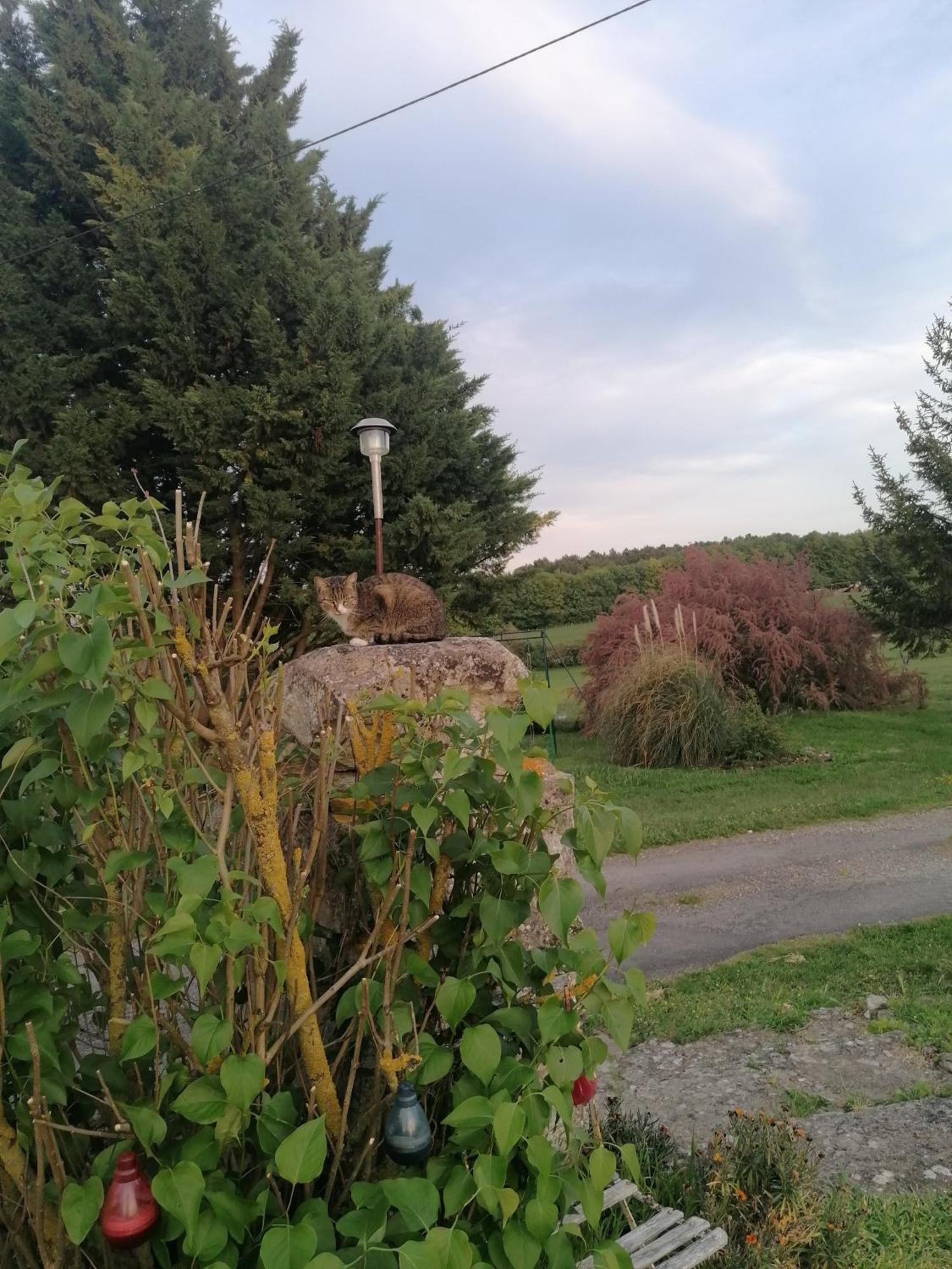 Вилла Charmante Maison, Calme Et Nature A La Roche Posay Экстерьер фото